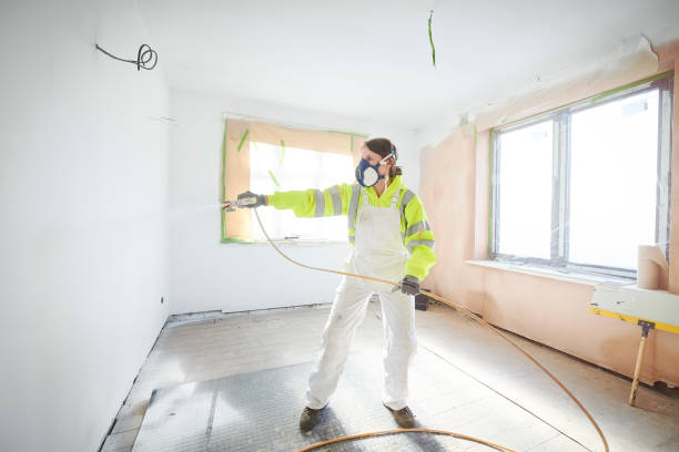 Mold Remediation for Rental Properties in Jessup, PA