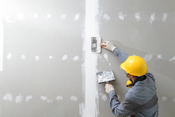 Mold Documentation for Insurance Claims in Jessup, PA